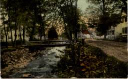 Cat tail stream.jpg
